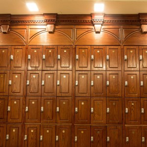 Exclusive safe cabinets project